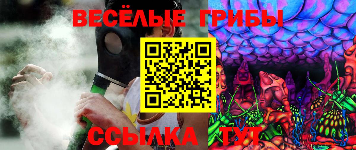 Шебекино  Галлюциногенные грибы GOLDEN TEACHER  Вход с VPN  Псилоцибиновые грибы MAGIC MUSHROOMS 