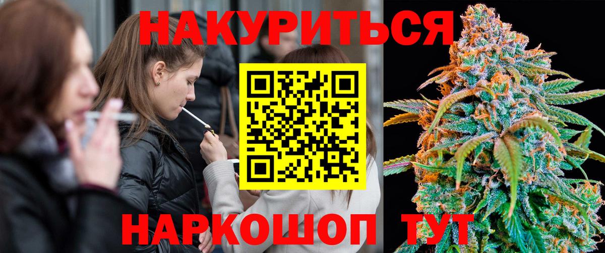 Марихуана тримм  Вход с VPN  Шебекино  Конопля планчик  Марихуана марихуана 