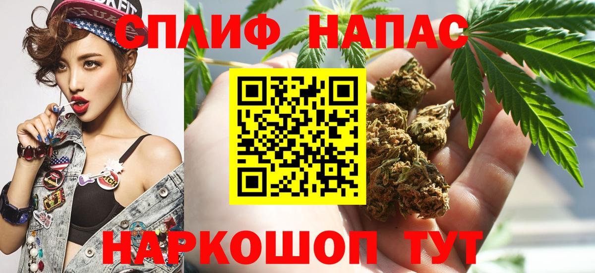 Шишки марихуана марихуана Шебекино